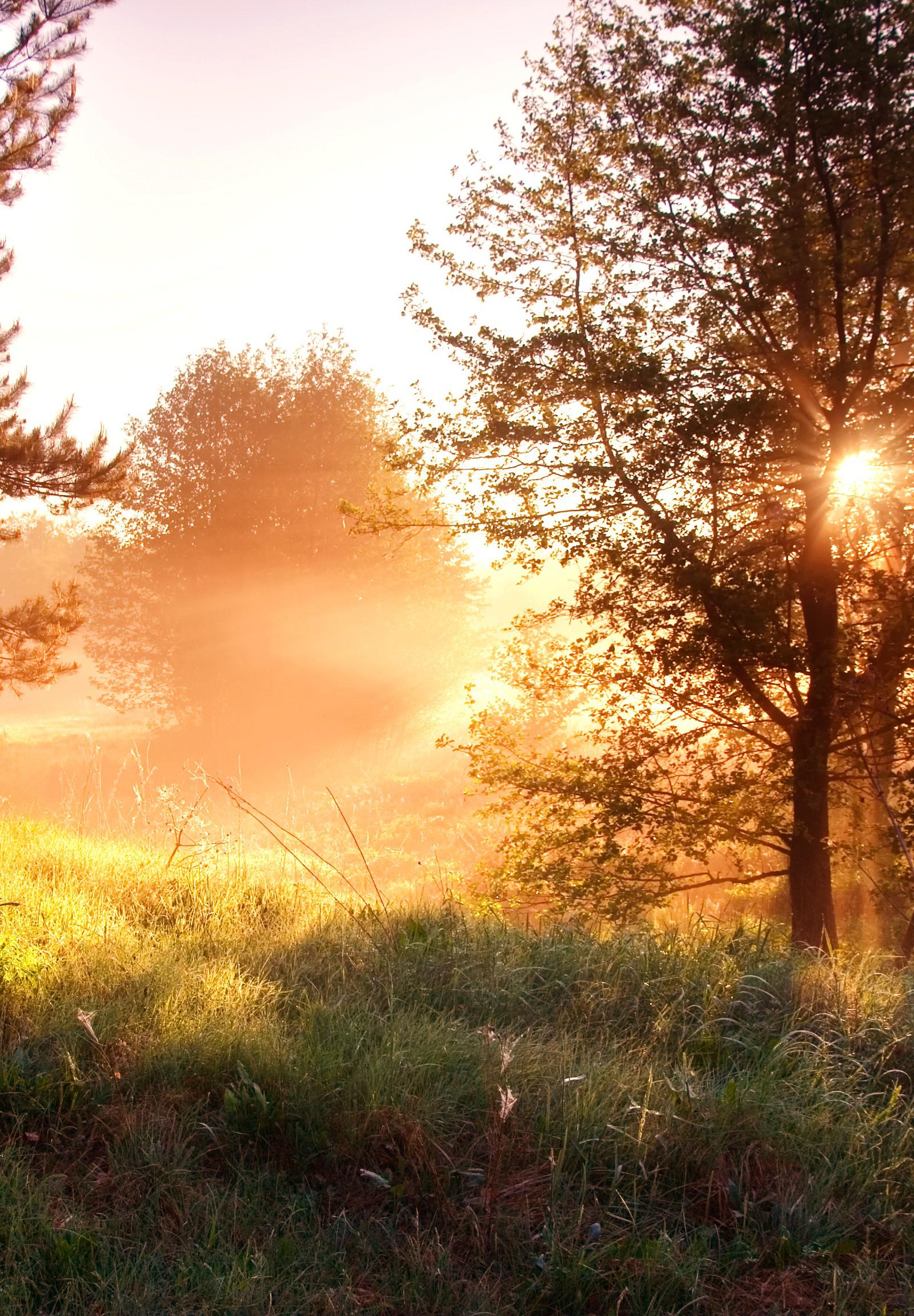 Lisbon's Top 5 Sunrise Spots Transform City's Growing Wellness Scene
